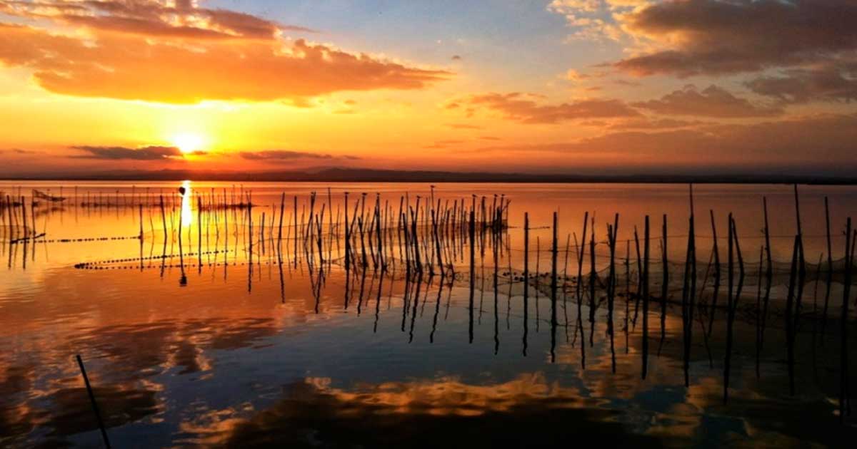 Navega por Costa Blanca y descubre el Parque Natural de La Albufera