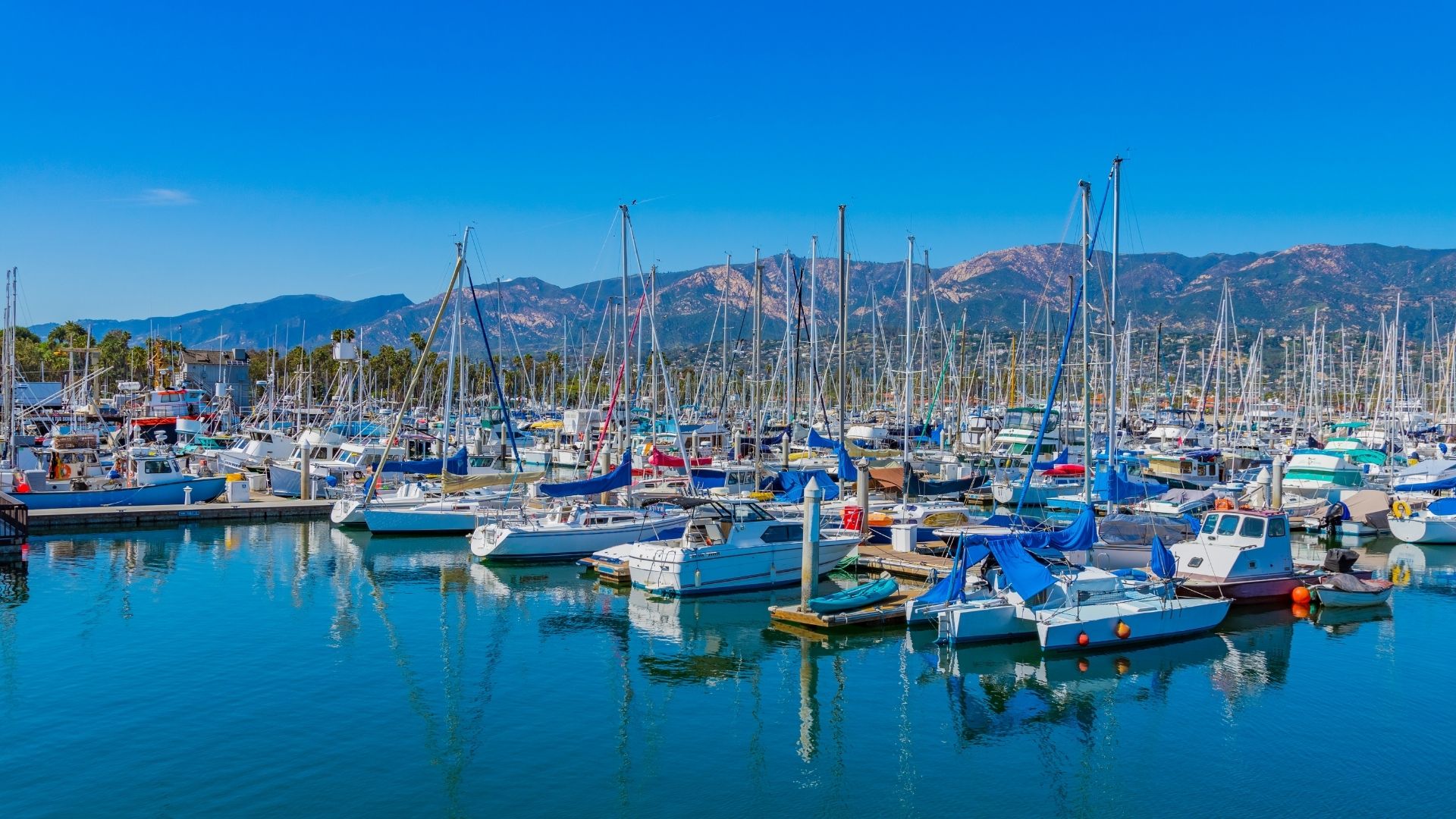 ¿Velero, Catamarán, Yate o Goleta?